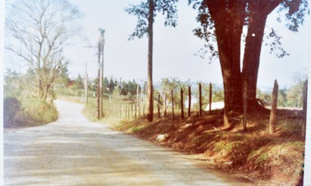 Imagem dos anos 60 mostra Rivieira quase sem árvores: espaço foi arborizado com o tempo, assim como o entorno da Guarapiranga