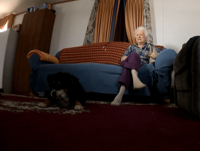 Lulu e sua cuidadora Martha Burton: cachorrinha de herança milionária