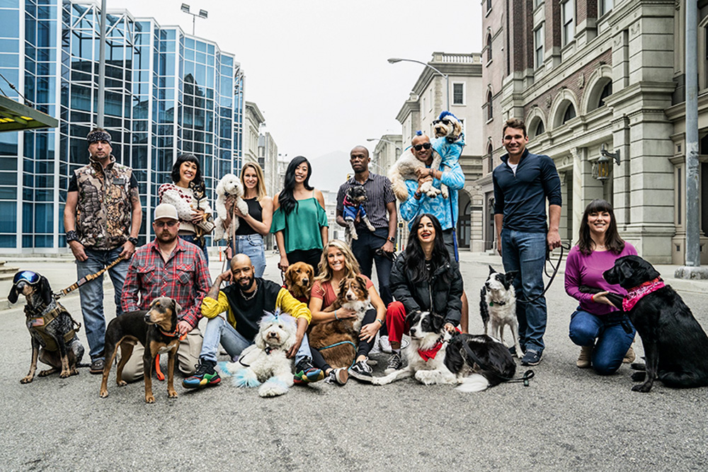 Doze cães e seus donos posam em uma rua de uma cidade
