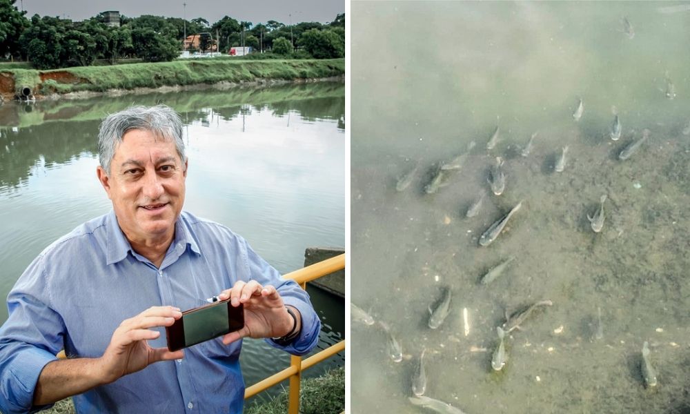 À esquerda, Itamar posa para a foto segurando um celular na horizontal e ao fundo está o Rio Pinheiros. À direita, a foto de Itamar com as tilápias no Rio Pinheiros, nadando na água.