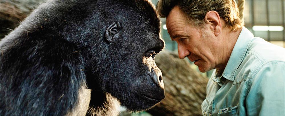 O gorila digital e o ator estão frente a frente, com as testas apoiadas