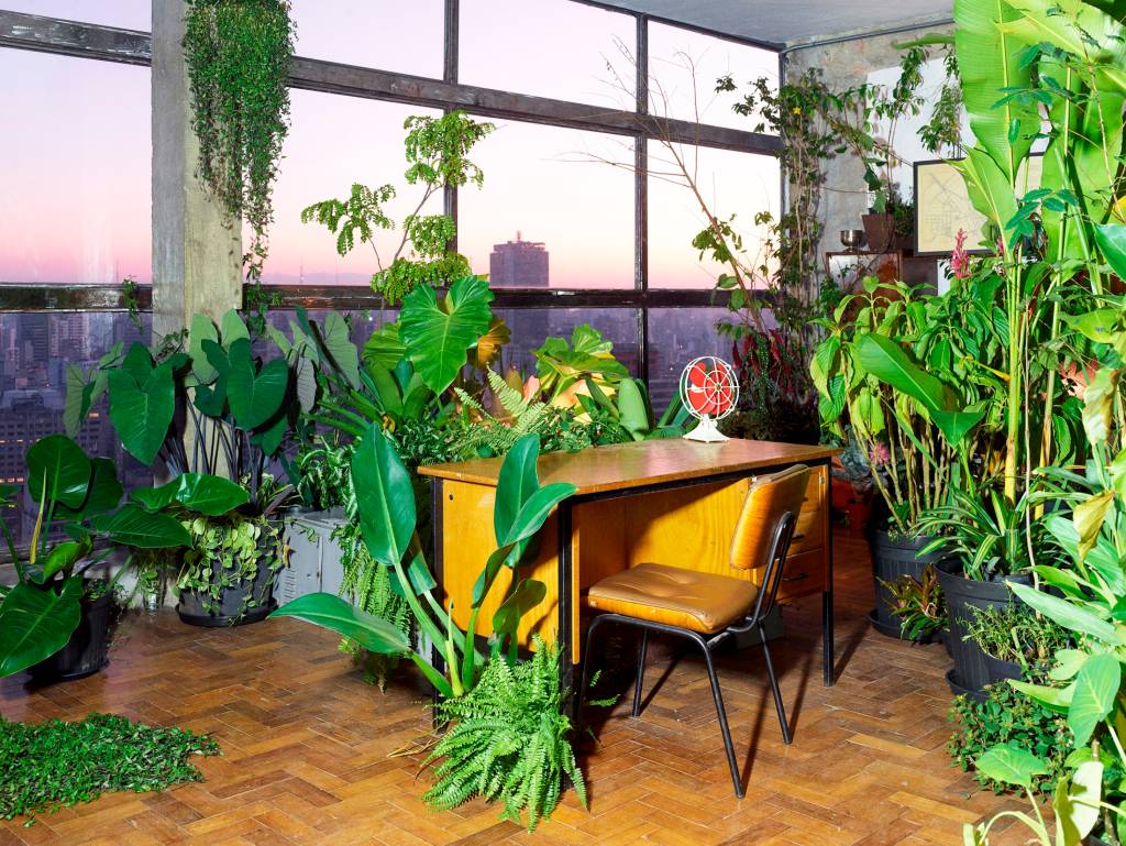 Imagem mostra móveis de escritório rodeados de plantas