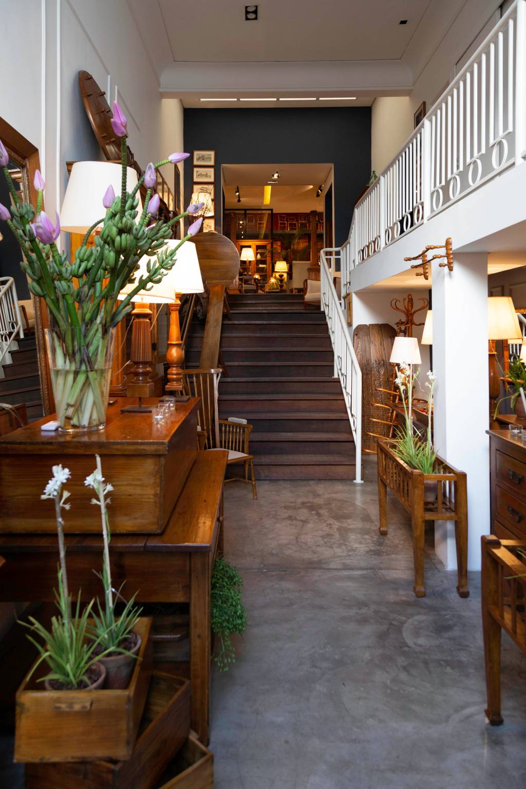 Entrada de loja exibe planta à esquerda e móveis posicionados nos cantos de um longo corredor com escada aos fundos.