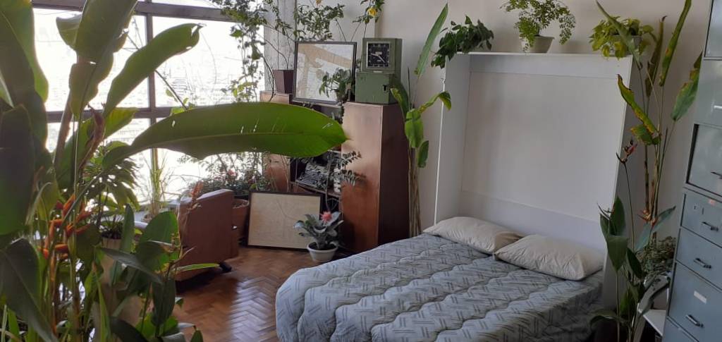 Image mostra cama em meio a plantas e móveis de escritório