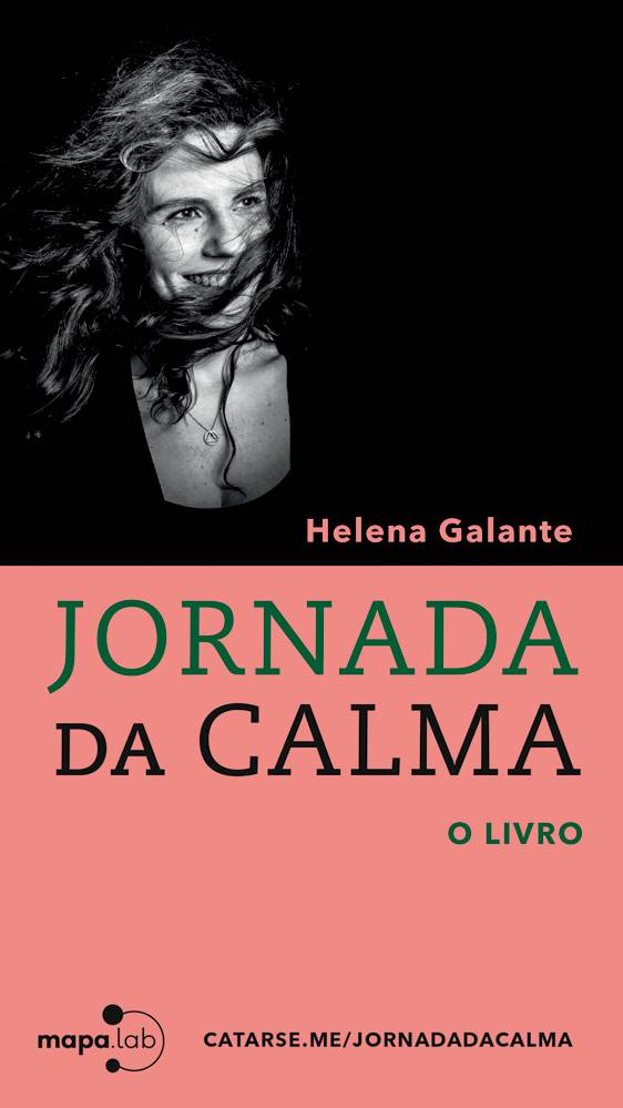 A imagem apresenta a capa do livro 