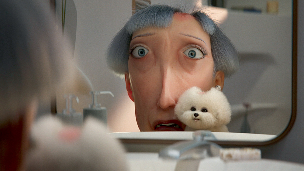 A imagem da animação mostra uma senhora com expressão de assustada olhando para o espelho com um poodle ao seu lado.