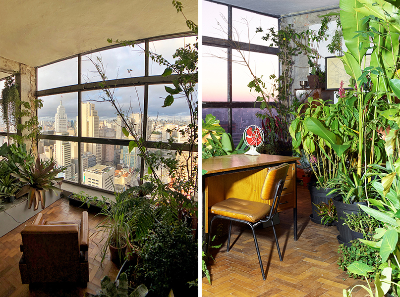 Montagem com duas fotos mostra cadeiras com diversas plantas ao redor em sala do Edifício Mirante do Vale