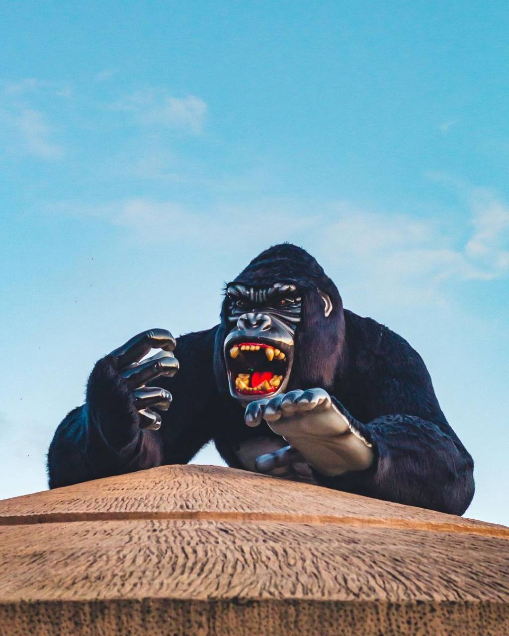 A imagem mostra a estátua de Gorila presente no Beto Carrero World