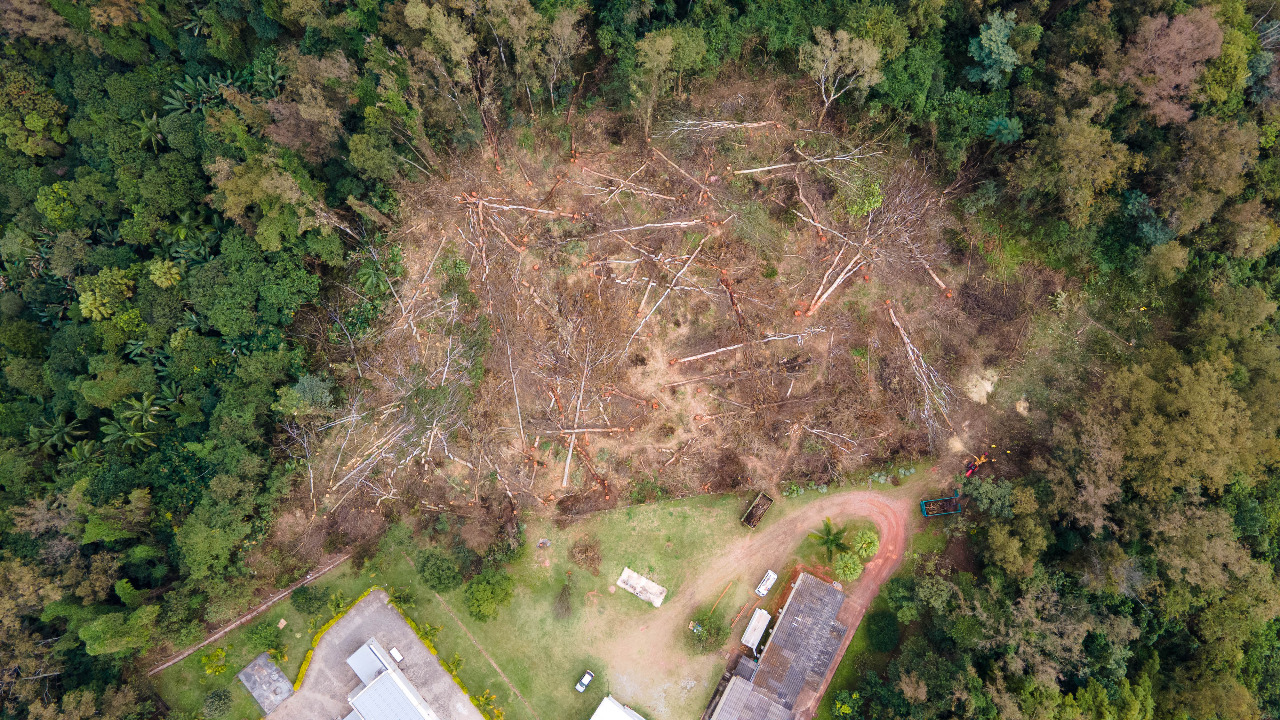 Imagem aérea mostra outro ângulo da região coberta de mata, com edificação ao centro e, ao lado, área com árvores caídas no chão