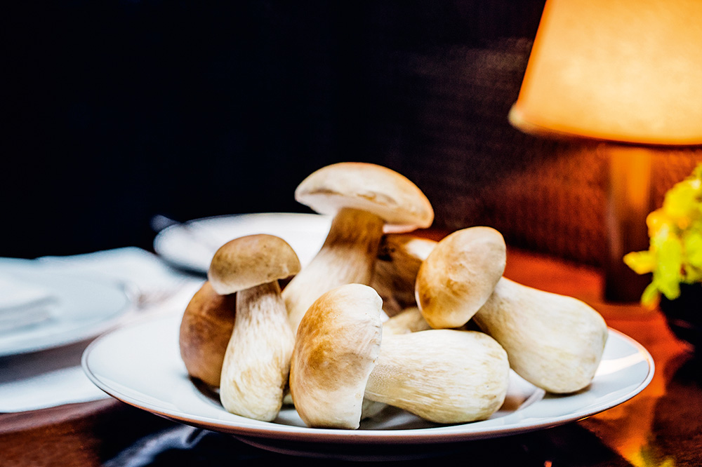 Cogumelos porcini frescos sobre prato de louça branca.