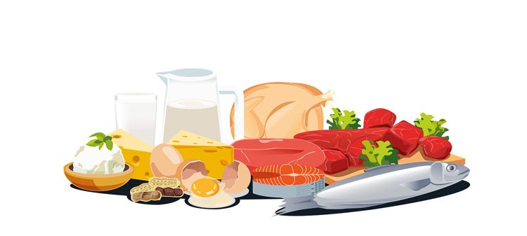 Ilustração mostra comidas. Leite, pão, queijos, vegetais, arroz, carnes e etc