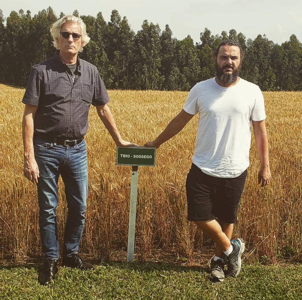 Do lado esquerdo, o padeiro norte- americano Michel Suas e com o também padeiro Eduardo Freire Feliz em frente a um campo de trigo