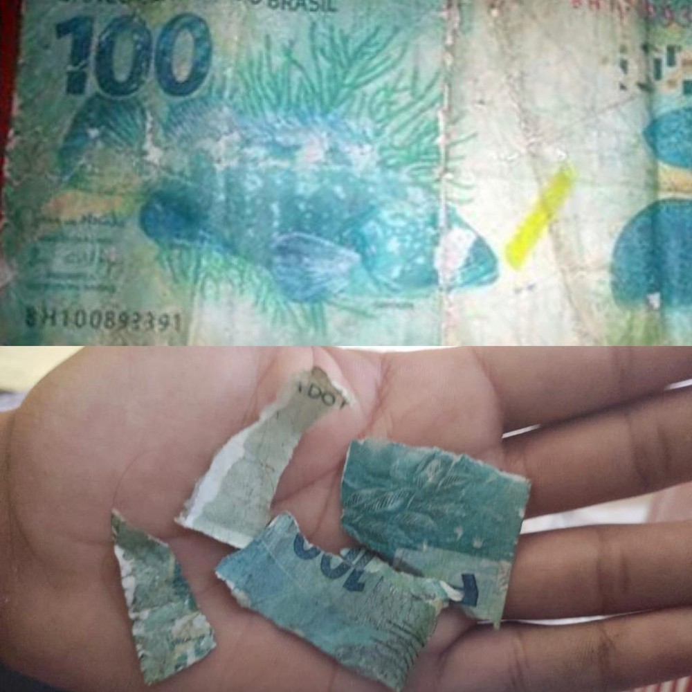 foto dividida em duas. acima, a nota falsa de 100 reais inteira e, abaixo, a nota rasgada na mão de alguém