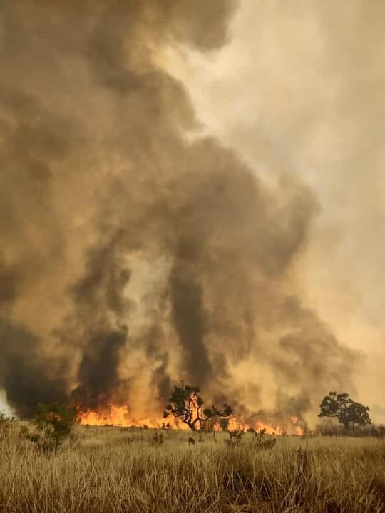 Área de mata em chamas, em Franco da Rocha, no Parque Juquery