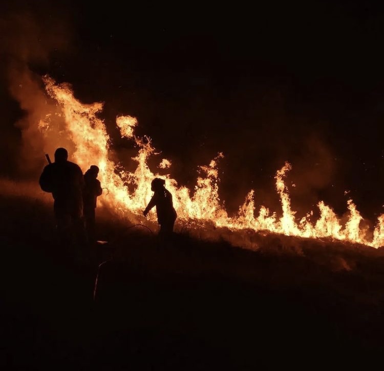 Imagem mostra chamas em área de mata e três pessoas tentando combater o fogo com água