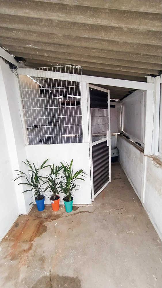 foto da entrada do gatil da empresa Loremi, com uma porta aberta à direita e três plantas em pequenos vasos à frente de uma parede