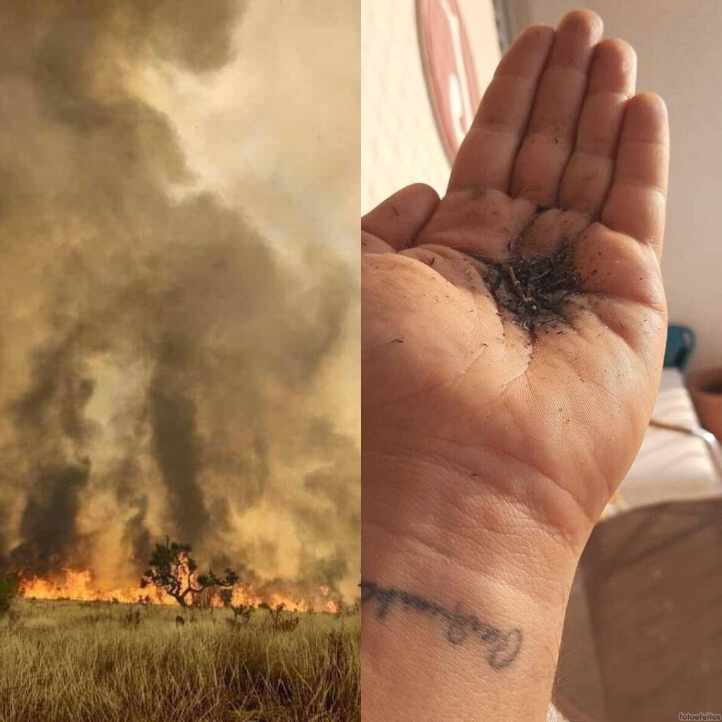 Imagem dividida em duas. De uma lado: parque em Franco da Rocha em chamas. Do outro, mão de morador com fuligem. Fenômeno pode ter relação com incêndio.