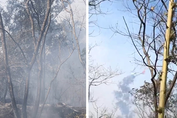 Montagem mostra duas fotos de vegetação queimada com presença de muita fumaça