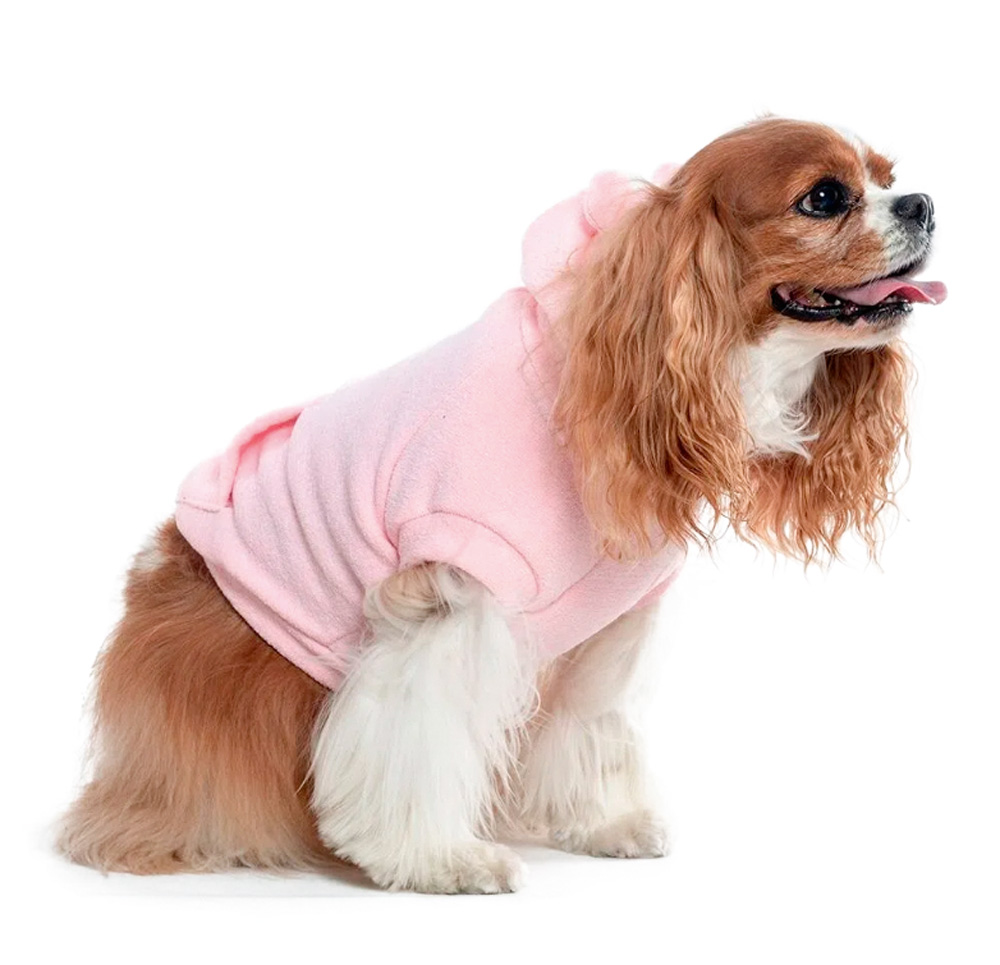 cachorro marrom de raça com língua de fora e roupa rosa
