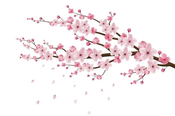 arte de galhos de cerejeira com flores, com algumas folhas se desprendendo e voando