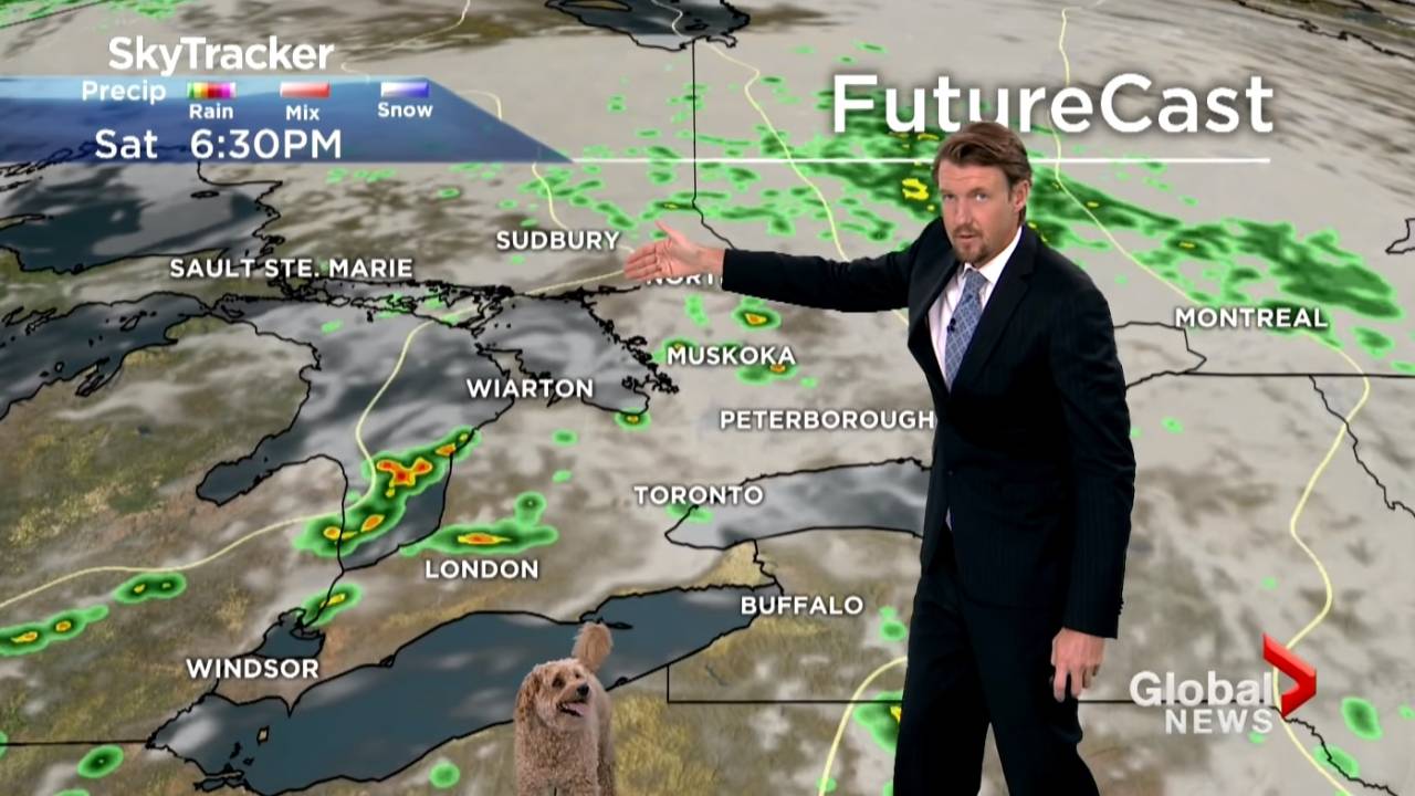 A imagem mostra um homem de terno apontando para um mapa da região do Canadá com temperaturas e, ao seu lado, há um cachorro.