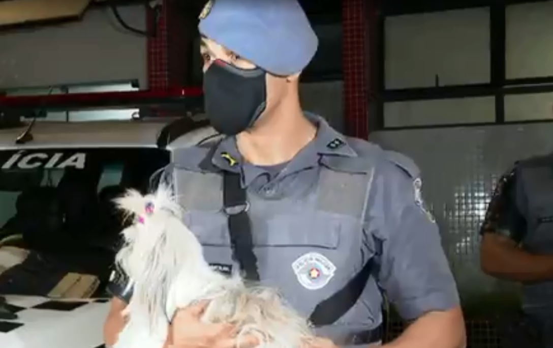 A imagem mostra um Policial Militar segurando um cachorro da raça yorkshire na mão.