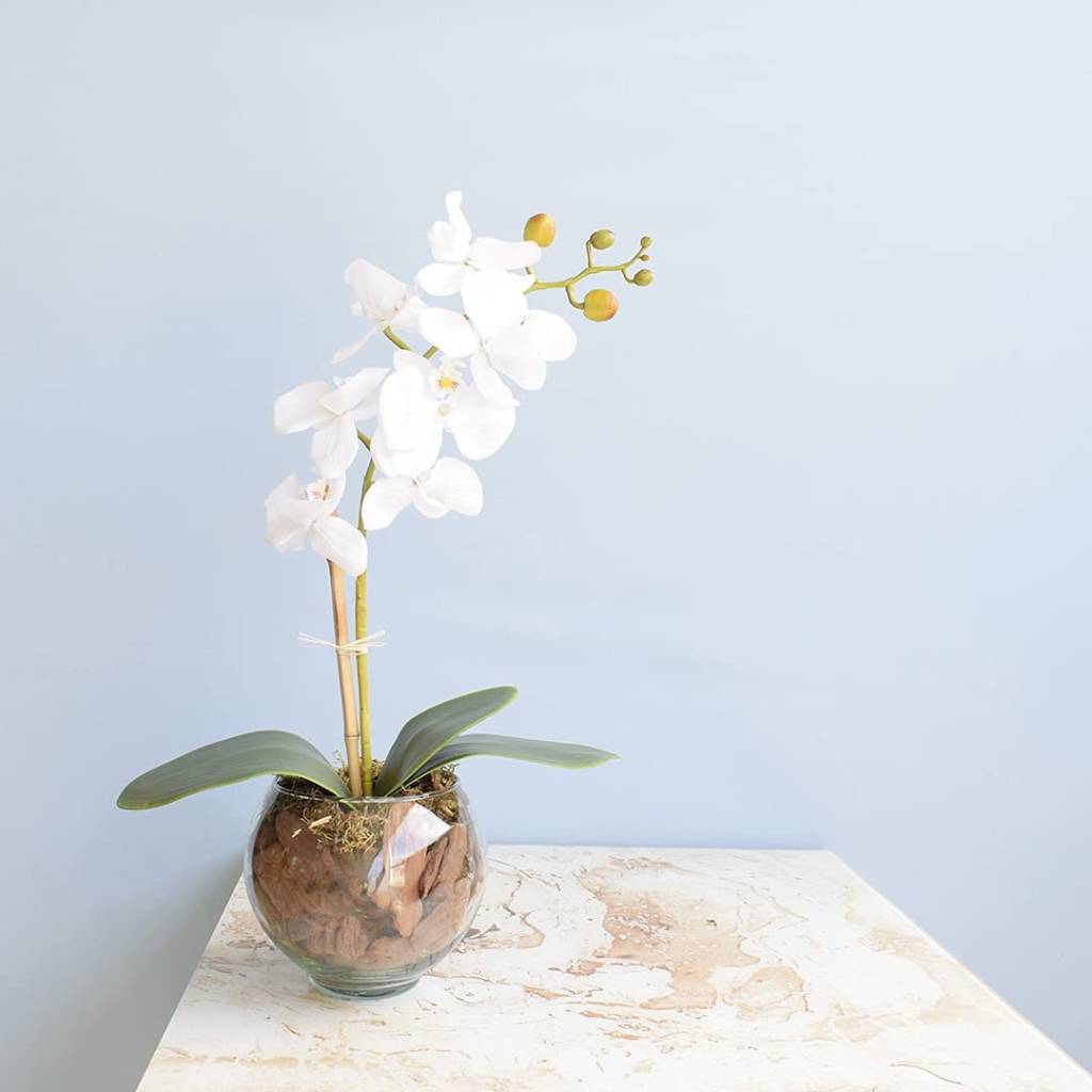 Em uma mesinha de cerâmica está um vaso artificial com uma orquídea. Parede de fundo é azul bebê
