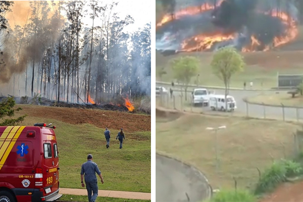 Montagem mostra duas fotos de bombeiros indo na direção de incêndio em região de mata