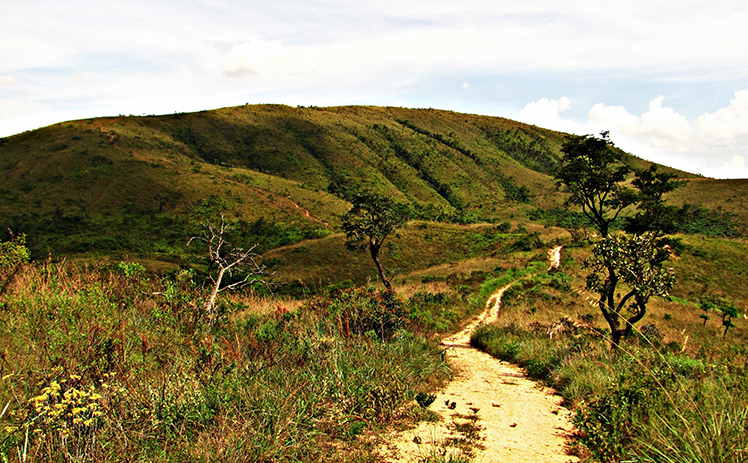 A imagem mostra caminho do parque estadual Juquery