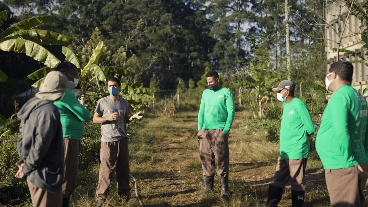 Em um gramado, alguns homens em círculo conversam. Alguns deles vestem camiseta verde e um veste camiseta cinza.