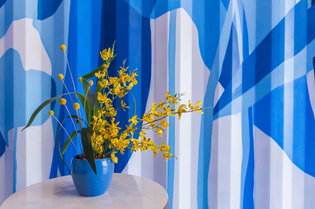 Imagem mostra vaso de plantas em cima de mesa, com parede colorida