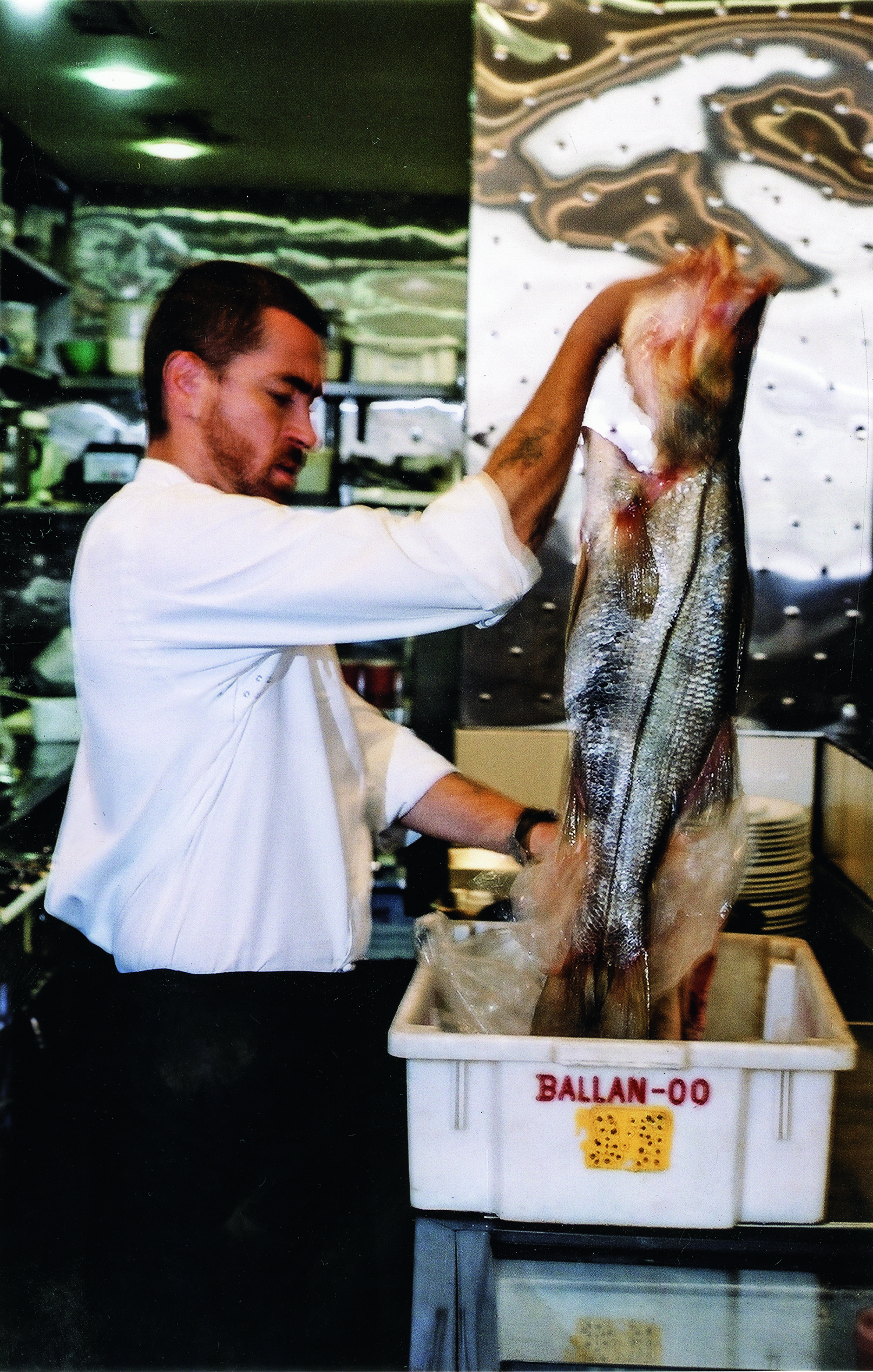 O chef Alex Atala de lado levantando peixe fresco de caixote de plástico branco.