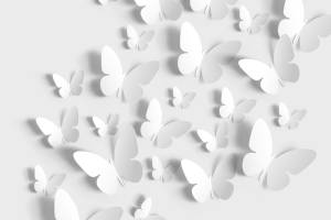 borboletas-destaque-a-tal-felicidade-lucidez-e-esperanca-cancer-de-mama-doencas-graves.jpg