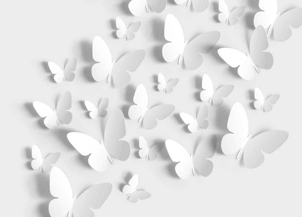 arte de borboletas brancas voando em cenário branco