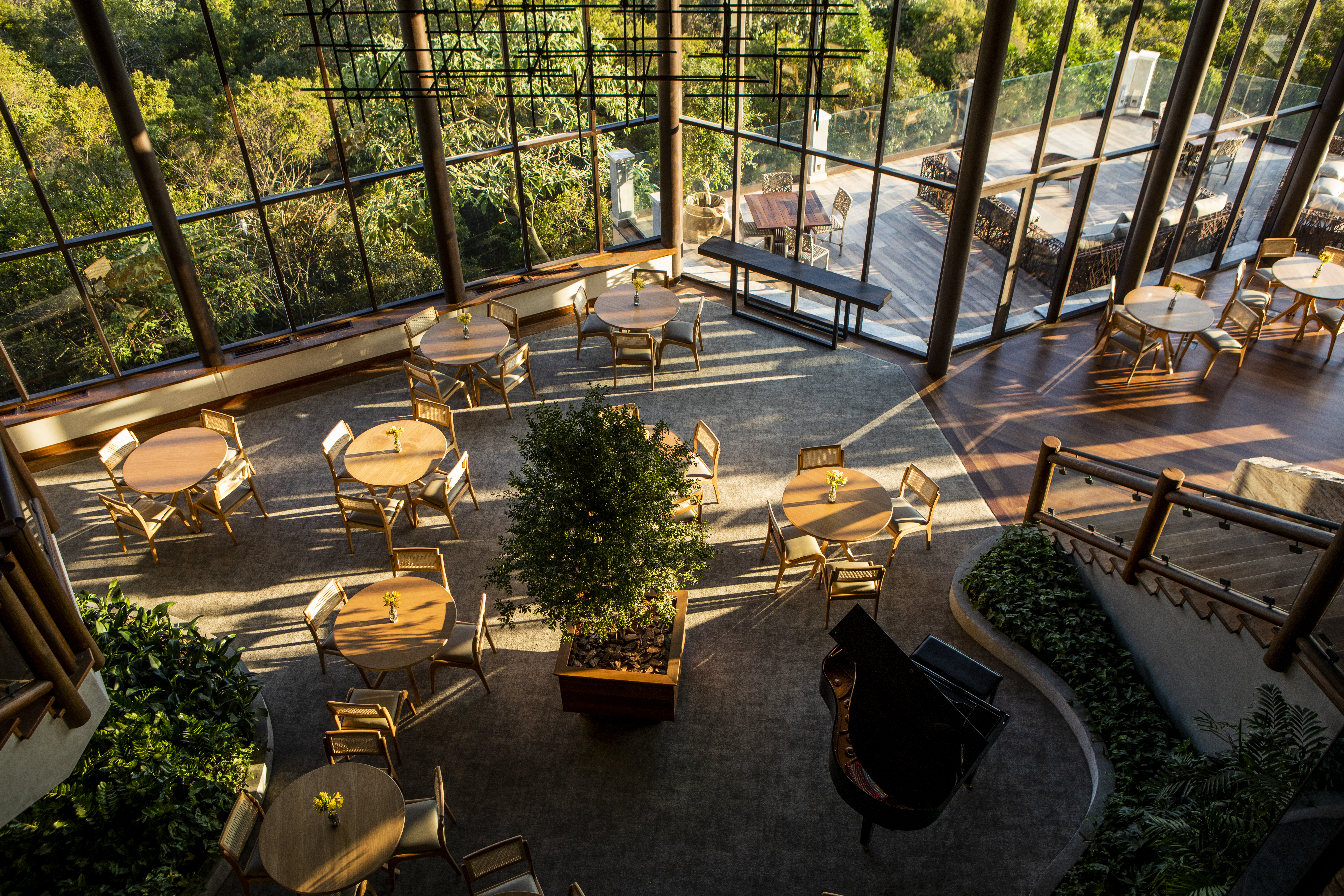 De cima, foto exibe espaço de refeições com planta no centro e grande janela de vidro com árvores na área externa.