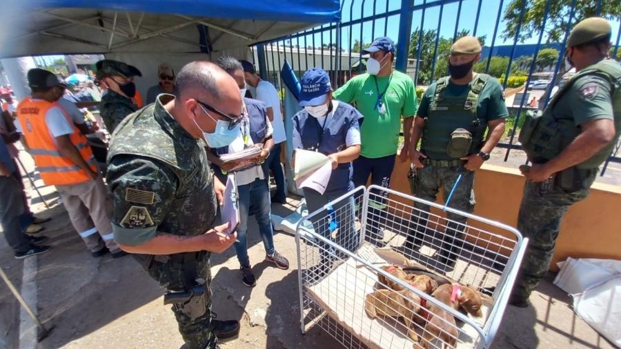 Agentes da Secretaria Municipal de Saúde (SMS) resgatam animais de feira clandestina na Zona Leste