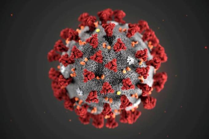 Imagem mostra representação de vírus em formato de esfera, cinza com glóbulos vermelhos, laranjas e brancos na área da esfera.