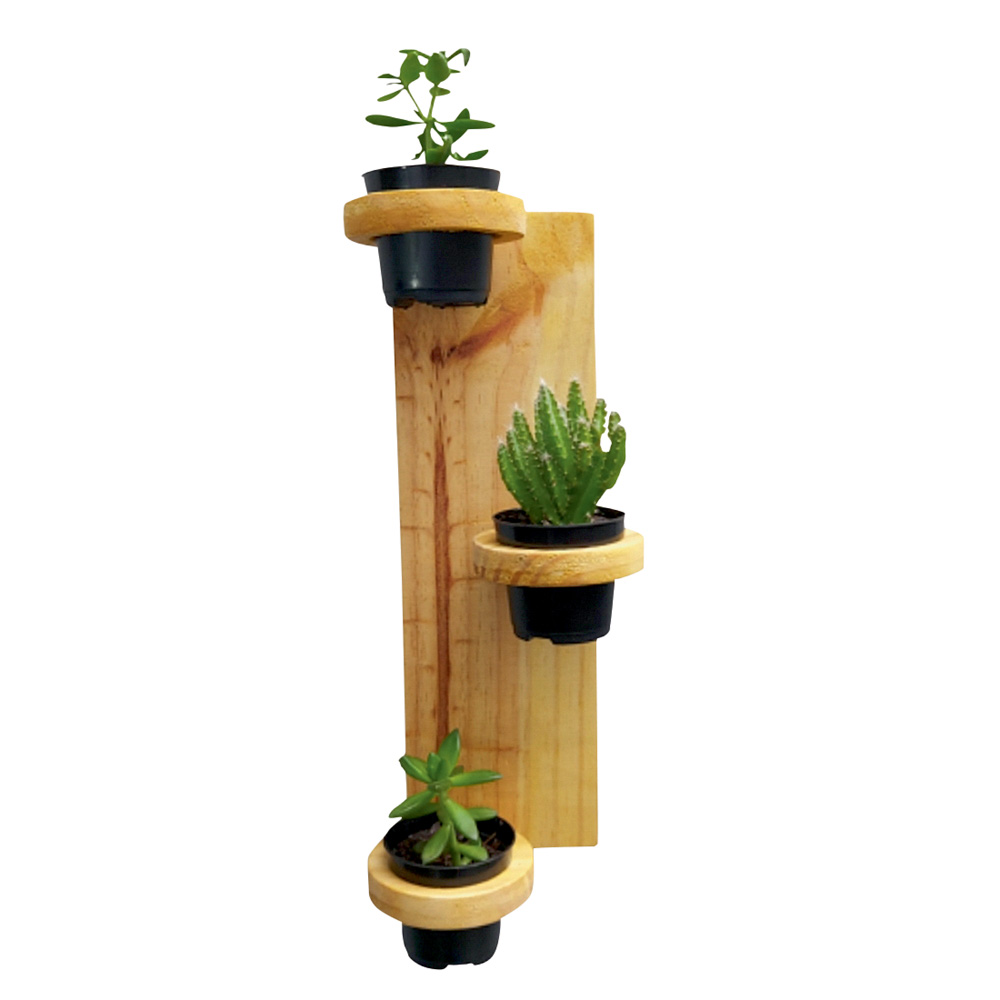 Uma estrutura vertical de madeira clara tem três espaços preenchidos por vasinhos de planta