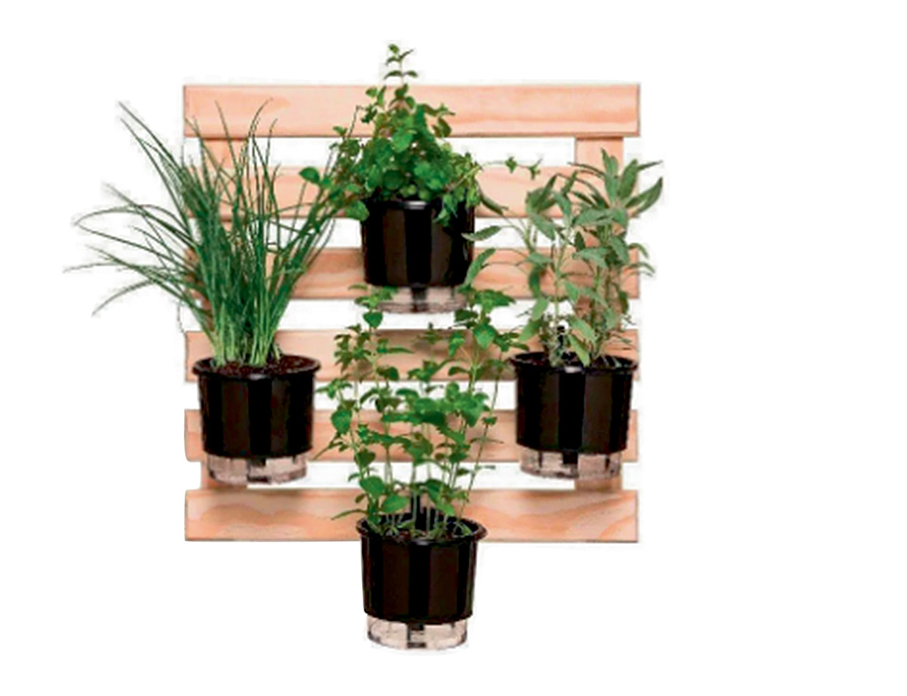 Uma estrutura de madeira clara sustenta quatro vasinhos pretos com plantas variadas