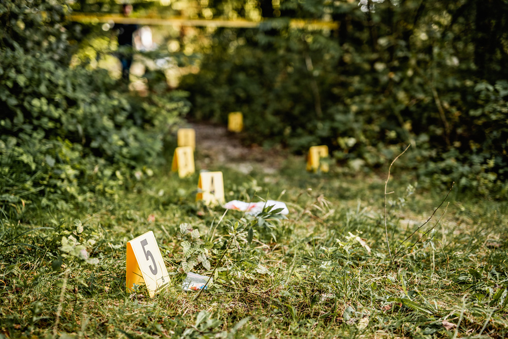 Vista de baixo ângulo de marcadores numerados em amarelo que identificam a presença de evidências físicas na cena do crime na floresta