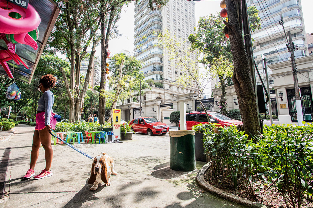 Imagem mostra calçada com rua e prédios ao fundo. Na calçada, árvores e uma mulher levando seu cachorro para passear