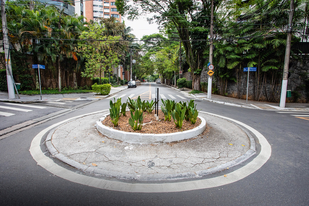 Imagem mostra rotatória com canteiro e plantas ao centro.