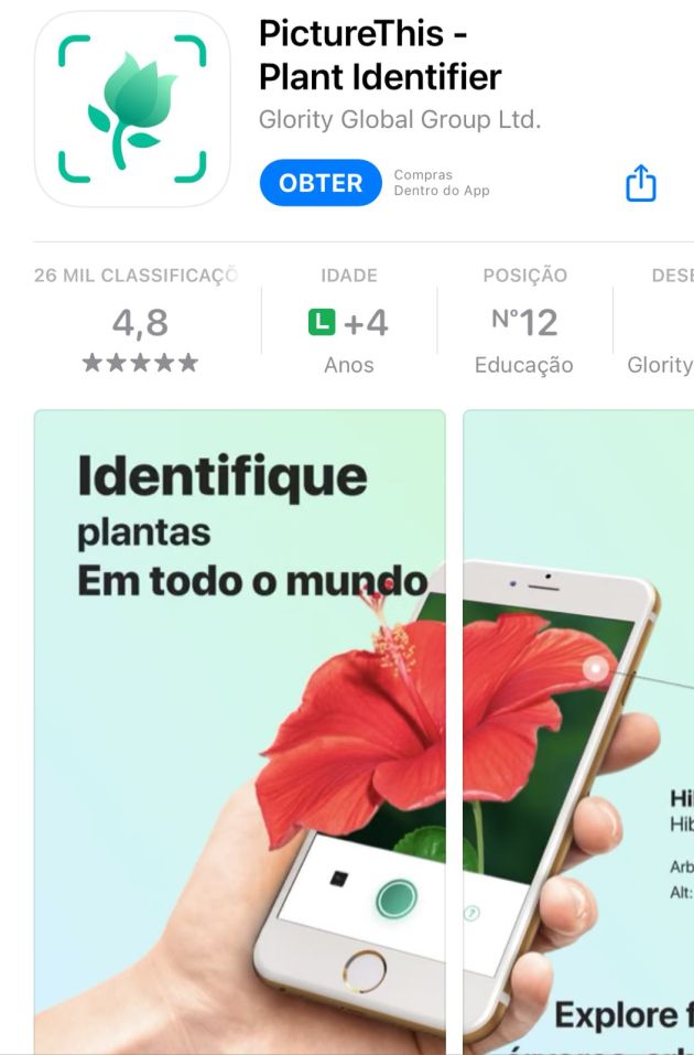 PictureThis 5 apps que identificam plantas por fotos