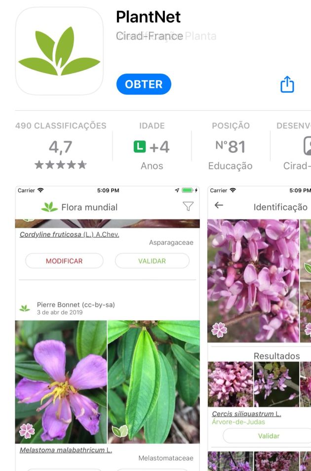 Plantnet 5 apps que identificam plantas por fotos