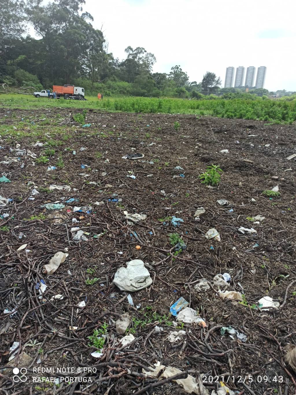 Imagem mostra área gramada coberta por gravetos