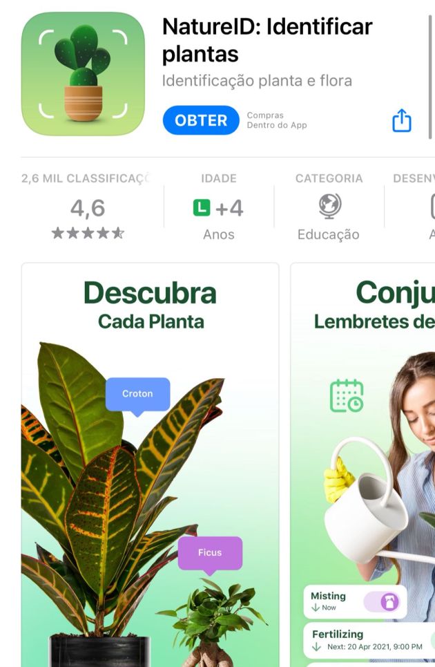 natureid 5 apps que identificam plantas por fotos
