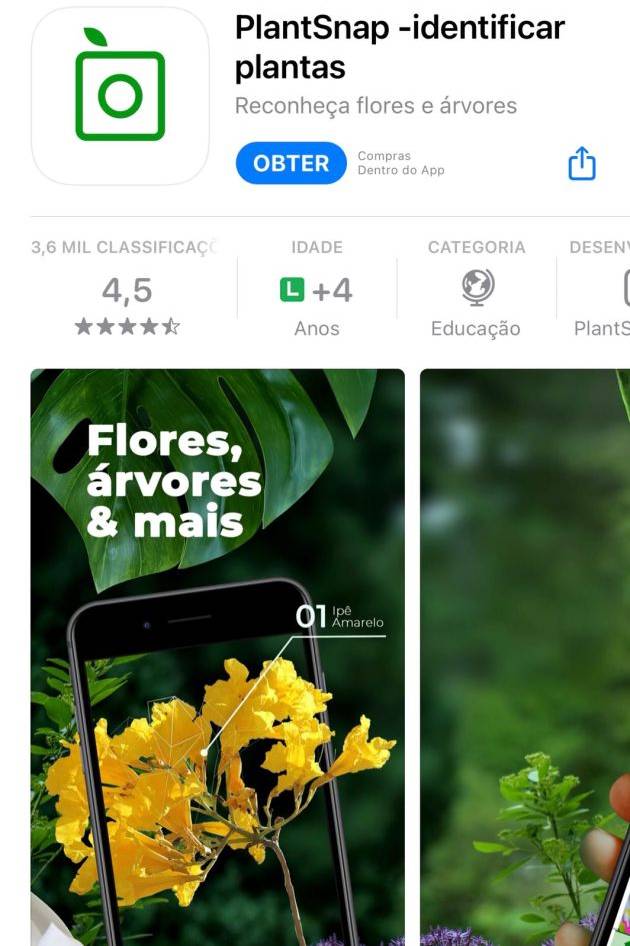 5 apps que identificam plantas por fotos