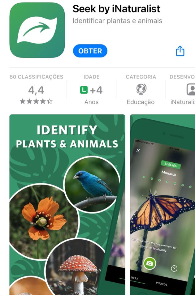 seek 5 apps que identificam plantas por fotos