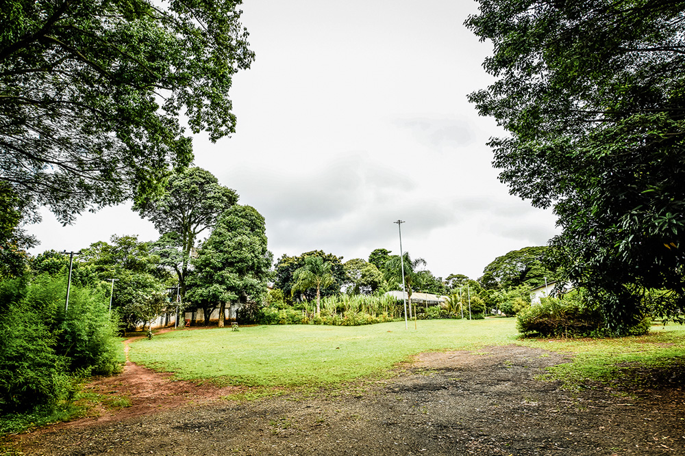 Imagem mostra gramado sob céu nublado.