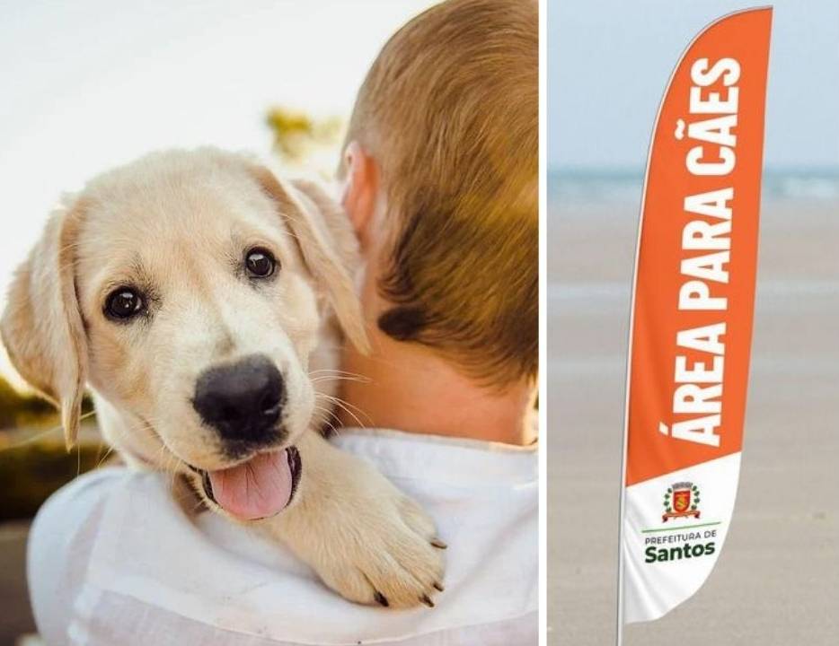 Colagem mostra tutor com seu animal no colo e, ao lado, uma placa informando área reservada onde cães podem passear na praia